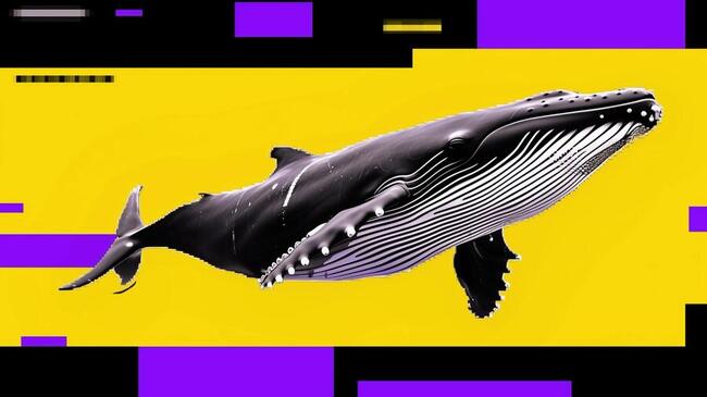 Падение Bitcoin может быть не завершено, поскольку крупные инвесторы продают на фоне покупок розничных инвесторов — медвежий сигнал