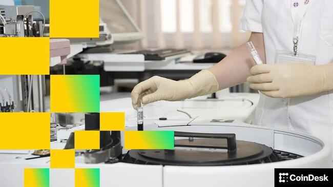 Инвестиционная компания Multicoin делает ставку на то, что «Интернет-рынки труда» станут движущей силой следующей волны принятия криптовалюты