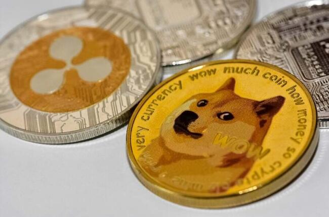 Dogecoin Tweets 'Much Gold, Very Lucky' While Bonk Wishes Everyone A 'Happy St. Patrick's Day From the Dog' (CORRECTED)
