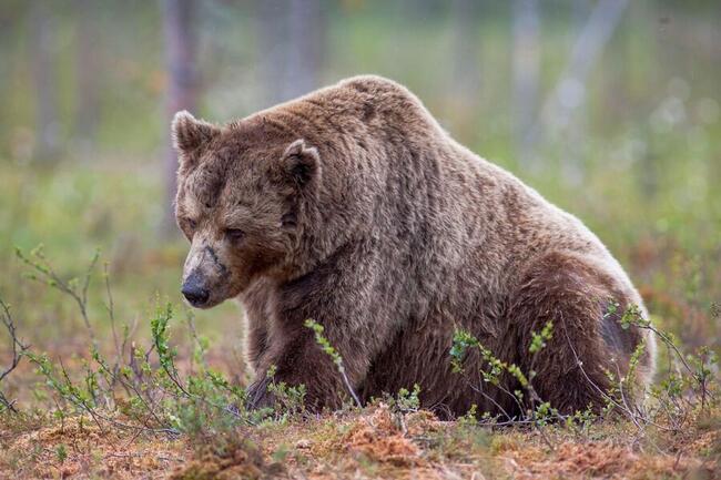 Криптовалютні компанії скорочують сотні робочих місць за кілька тижнів, звинувачуючи слабкі ринки та потужний штучний інтелект