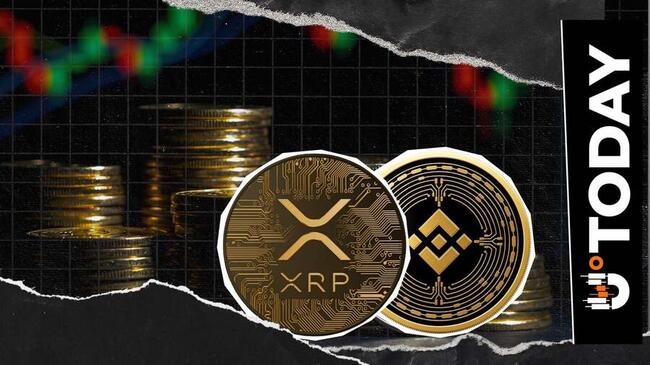Binance Coin (BNB) Dethrones XRP to Become Fourth Most Valuable Cryptocurrency