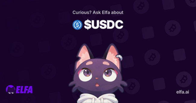 USDC Top‑100 Wallets Reach Record Concentration As Large Whale USDC Inflows Observed