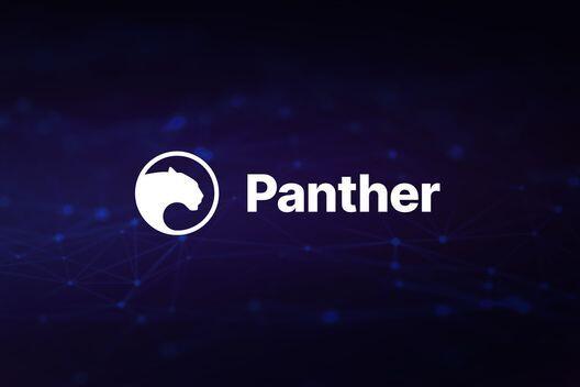 Panther Protocol deploys privacy infrastructure on Polygon