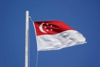 Singapore Parliament passes motion affirming no jobless growth in AI era