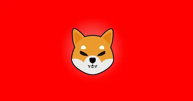 Popularitas Shiba Inu Terkait Burn Buterin dan Reli 2021