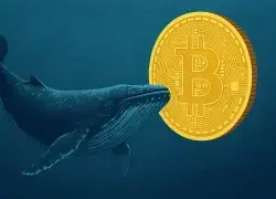 Bitcoin Whales Dump 24,602 BTC as Retail Buys the Dip