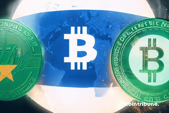 Bitcoin : Le Nigeria écrase la France et laisse le Salvador dans la poussière !