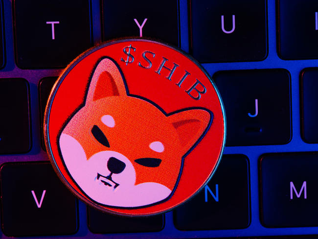 Shiba Inus Token-Burn: 130 Millionen SHIB in 24 Stunden vernichtet