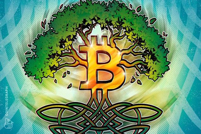 Bitcoin realizza ciò che "pochi settori possono vantare": diverrà una rete carbon neutral entro il 2024