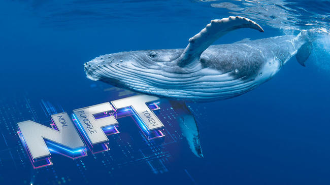 ¿Quiénes son las principales «ballenas» de NFT y qué colecciones tienen?
