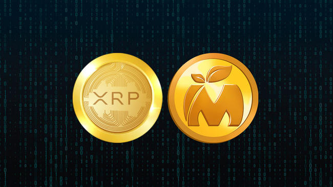 Ripple (XRP) versus nieuwe crypto. Wie zal als eerste 20X winst behalen?