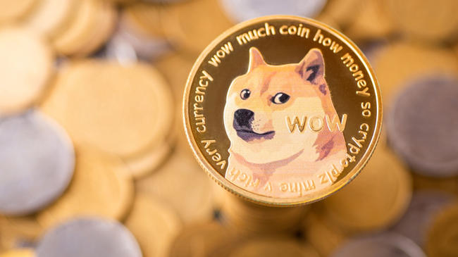Dogecoin Furyası Sona Mı Erdi? Dogecoin Alternatifleri Coinler Hangileri?