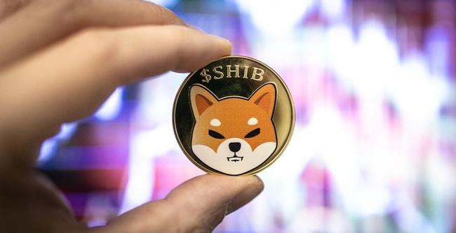 Shiba Inu’den Calcium token uyarısı: “Kesinlikle satın almayın!”