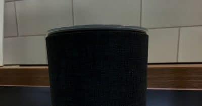 Amazon designs custom AI chips for Echo and Fire TV devices