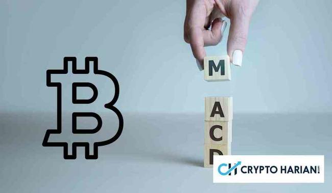 Analis Kripto Klaim Bitcoin Berada di Zona Beli Jika Menggunakan Indikator MACD