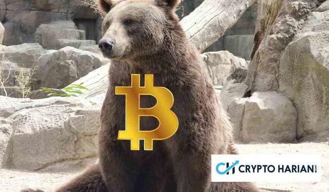 Pengamat Pasar Kripto Beri Petunjuk Terkait Adanya Potensi Bitcoin Kembali Jatuh