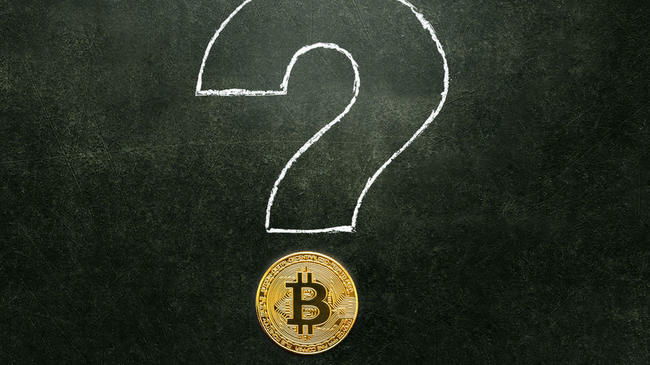 Önde Gelen İsimlerin Bitcoin İçin 2024 Beklentisi Ne? İşte Fiyat Tahminleri!