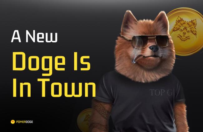 Previsão de preço da Shiba Inu no Google Bard; Pomerdoge, o rival, tem mais potencial de valorização?