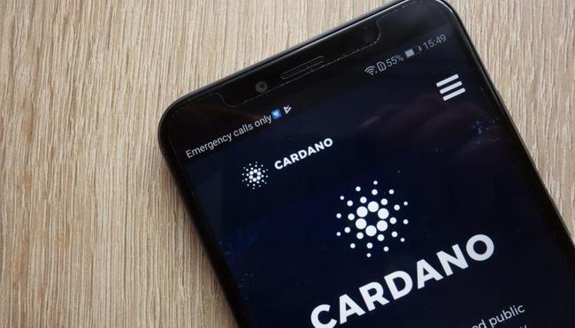 Cardano investeerders draaien op grote schaal verlies