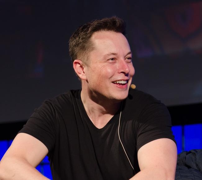 Hoeveel Shiba Inu (SHIB) bezit Elon Musk?