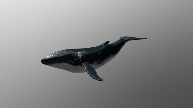 Balinalar Üç Altcoin’i Stokluyor: Birini ise Satıyor!