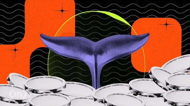 Bitcoin : les baleines crypto prêtes à saboter le cours du jeton ?