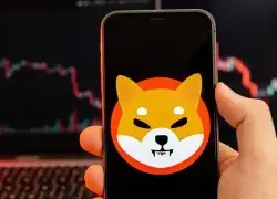 SHIB Price Faces Another Key Resistance Test