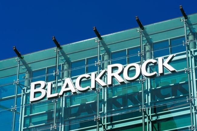 ‘BlackRock kan de macht binnen Bitcoin overnemen’