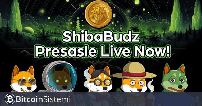 Shiba Inu (SHIB) Topluluğu Genişliyor: Shiba Budz (BUDZ) Kendi Yolculuğuna Hazırlanıyor