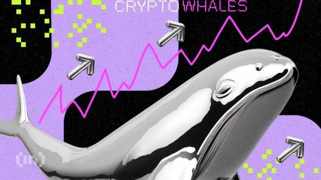 Devin ou escroc ? Une baleine crypto devient millionnaire à base de meme coins