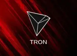First Staked TRON ETF Faces a 14-Day Liquidity Test