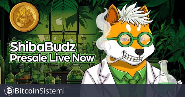 Dikkat Edilmesi Gereken 2 Token, Shiba Inu (SHIB) ve Shiba Budz (BUDZ): Shiba Budz Neden Kalabalıktan Öne Çıkıyor?