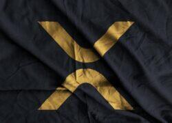 XRP: Can the Rally Hold Its Ground?