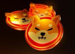 Shiba Inu Price Presses $0.000006 After Solana Listing