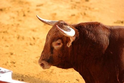 Solana (SOL) breaks above key level but can bulls take advantage?
