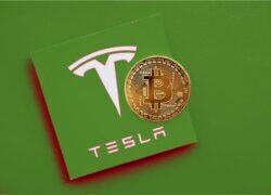 Tesla’s Bitcoin Gain Was All Price – SpaceX Talks Begin