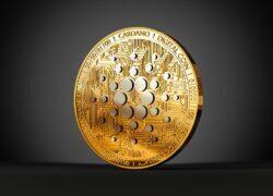 Cardano Price Faces a $0.21 Test After a 27% Retreat
