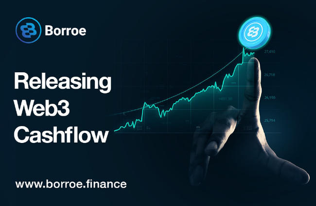 É possível que um investimento de US$ 100 em Borroe.Finance (ROE) resulte em um aumento de 20 vezes nos retornos após o seu lançamento?