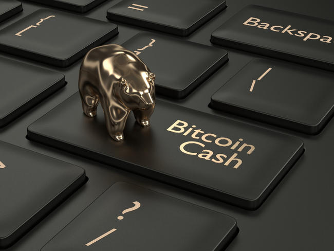 Bitcoin Cash: Nächster Höhenflug auf 300 USD in Sicht? Wale stocken auf!