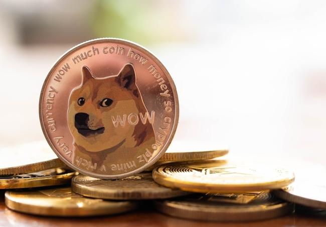 กระแสของ Dogecoin กำลังกลับมา? หลังจำนวนผู้ใช้บนเครือข่ายแตะ 5 ล้านรายเป็นที่เรียบร้อย