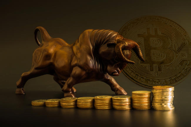 Bitcoin Bull Run Is Only Just Starting, According To This Metric