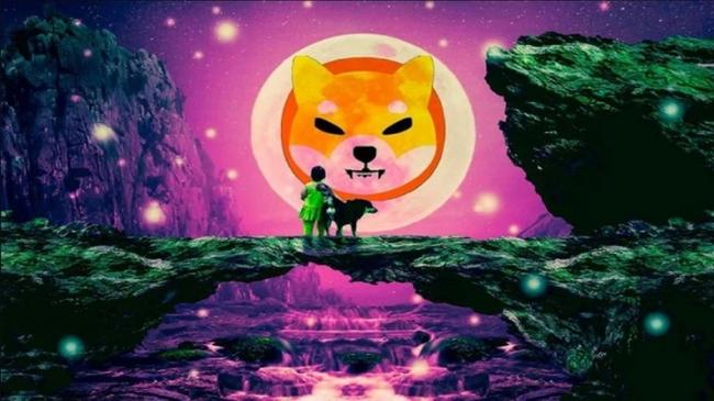 AI dự đoán giá SHIB vào tháng 12