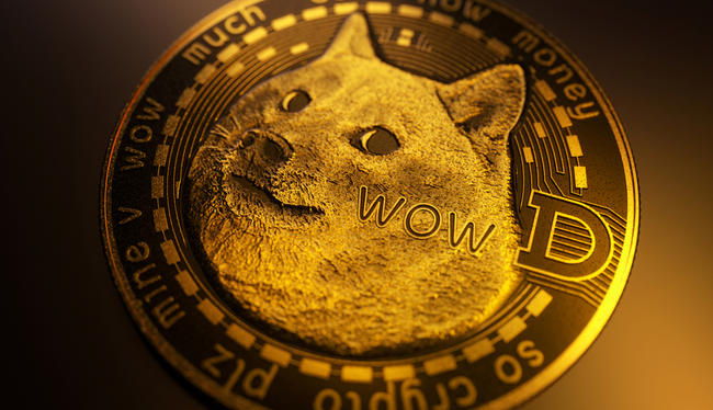 Endereços de Dogecoin superam 5 milhões pela primeira vez, mas concentração de tokens preocupa