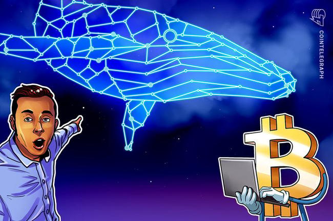 Traders recebem alerta sobre 'jogos de baleias' à medida que preço do Bitcoin mira US$ 40.000
