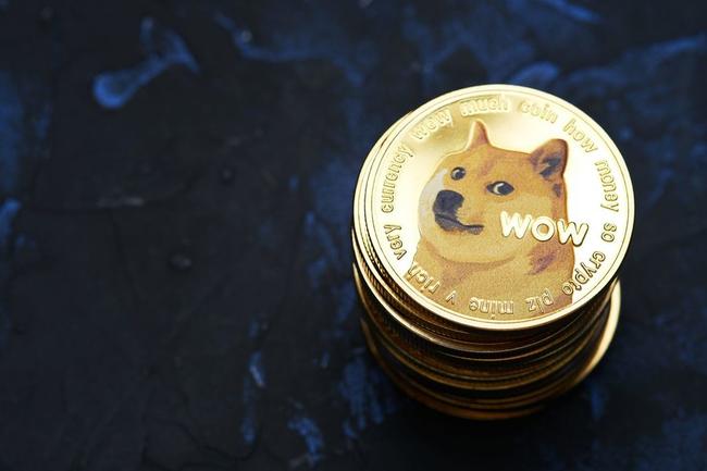 Positief nieuws: Dogecoin bereikt mijlpaal met meer dan 5 miljoen adressen