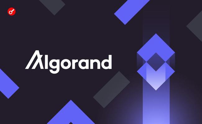 Фонд Algorand заключил партнерство с индийскими организациями