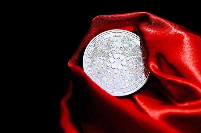 Cosmos Yükseltmesi Cardano’nun Midnight’ıyla Buluşuyor: Slayboy, Ralliyi Ateşliyor