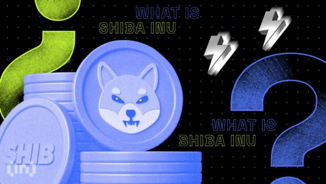 Shiba Inu (SHIB) presa em padrão gráfico. O que esperar para os próximos dias?