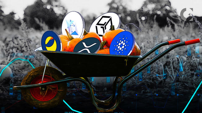 Top 5 Altcoins That Could Ignite the Next Bull Market