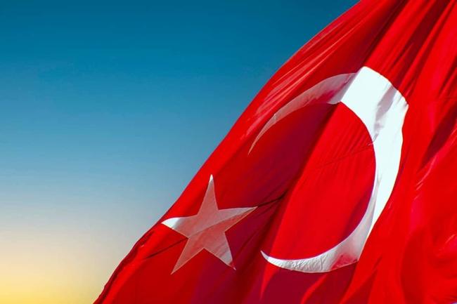 Türkiye’deki Yatırımcılar LUNC ve Bu 8 Altcoin’i Araştırıyor!